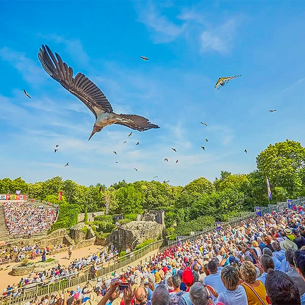 310 oiseaux d une cinquantaine d especes differentes