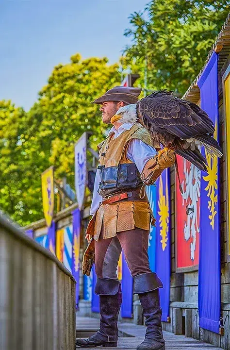 bal des oiseaux fantomes au puy du fou