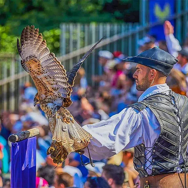 bal des oiseaux fantomes