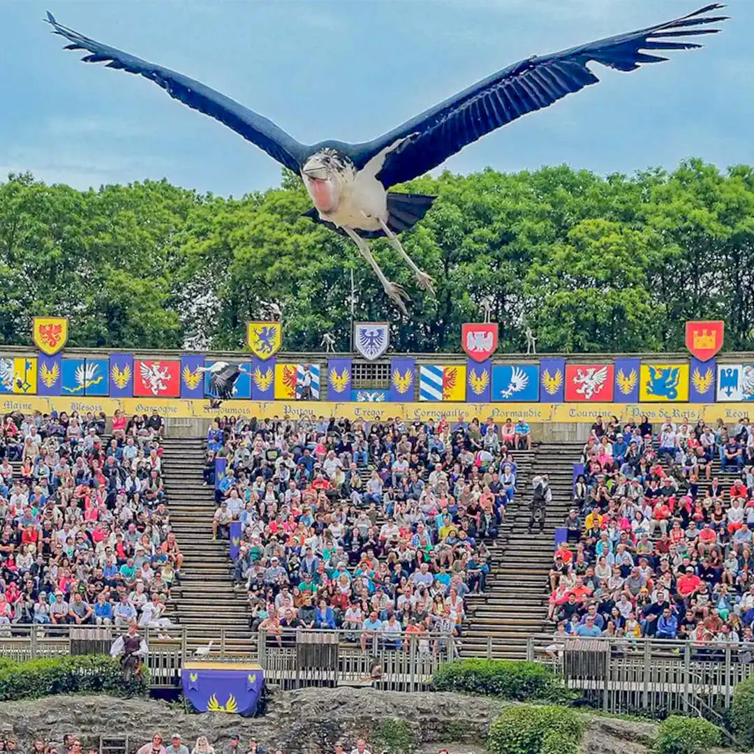 spectacle puy du fou resultat