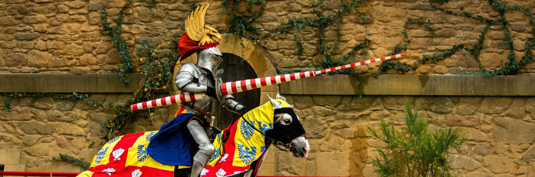 Les différents pass du Puy du Fou