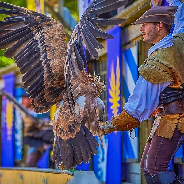 Visite unique du Puy du Fou grâce au pass