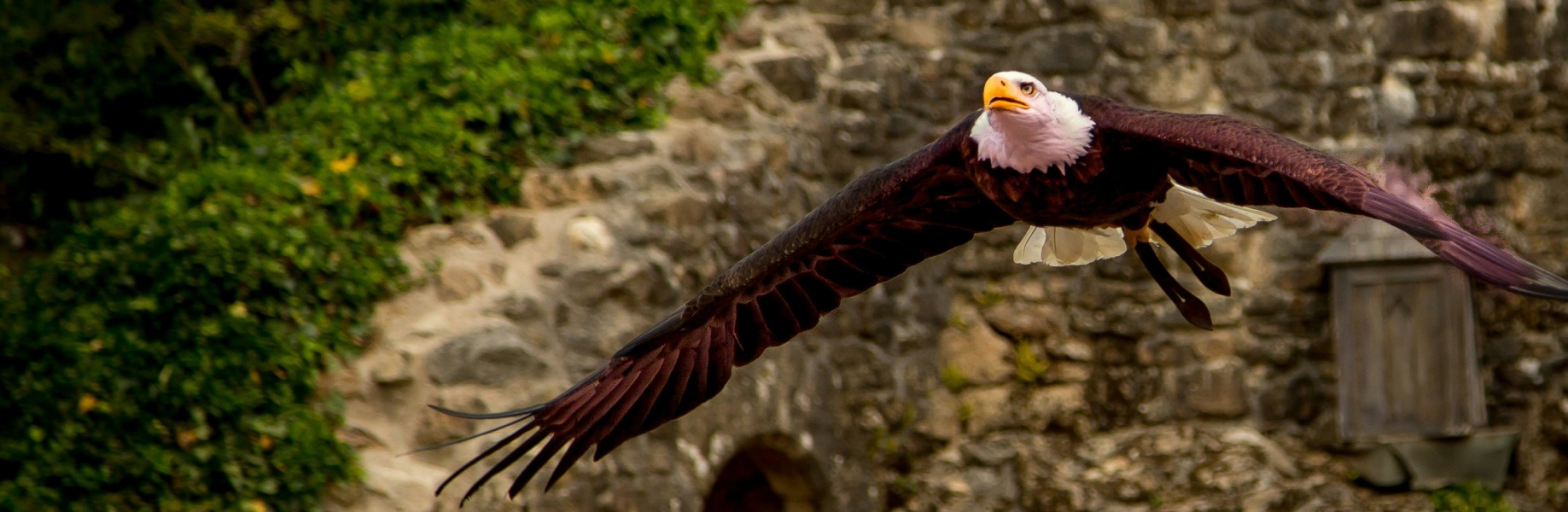 Profitez des tarifs du Puy du Fou