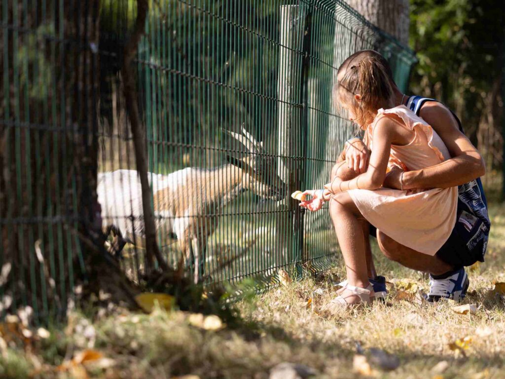 camping avec mini ferme vendee