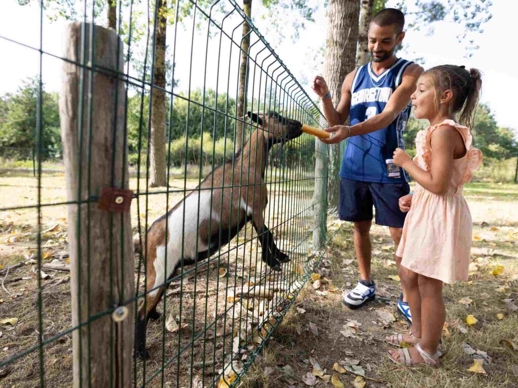 mini ferme camping puy du fou