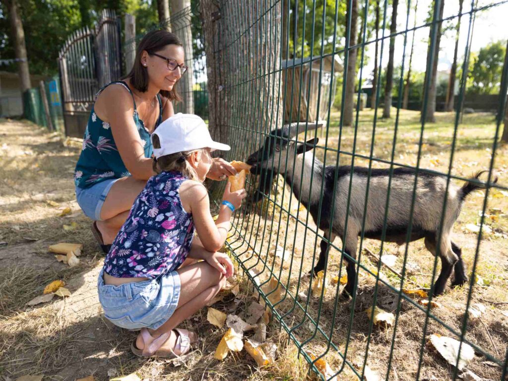 mini ferme camping vendee