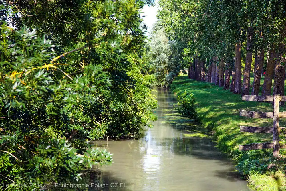 Canal du Marais Poitevin, la Venise verte, à une heure du camping proche du Puy du Fou